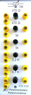Barth Potentiometer Einschub